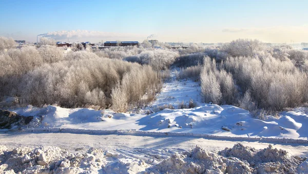 Zimní panorama. mrazivý prosinec. — Stock fotografie