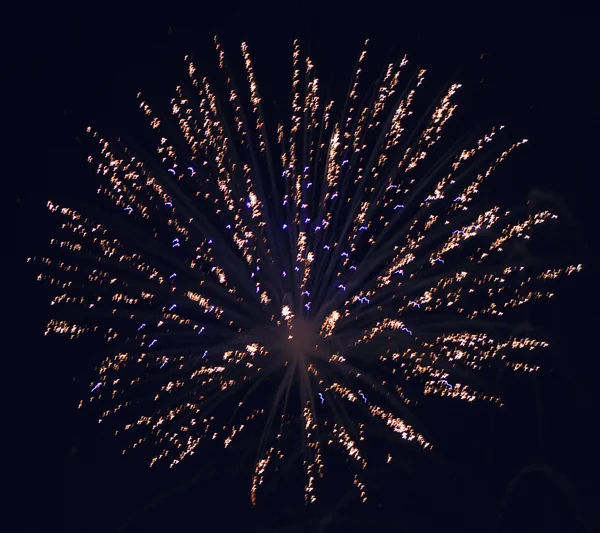 Hermosos fuegos artificiales en el cielo nocturno. —  Fotos de Stock