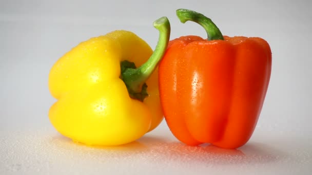 La pluie tombe sur le capsicum annuum . — Video