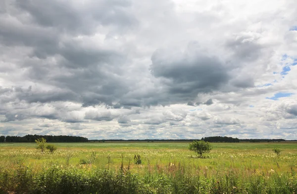 Nuvens de cúmulo acima do prado verde . — Fotografia de Stock