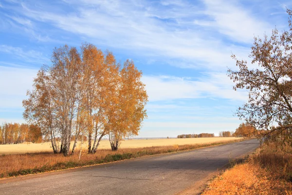Road to the fields. Autumn landscape — Stock Photo, Image