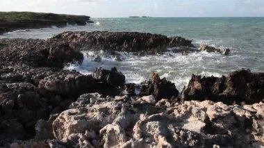 cayo guillermo adada sörf. Atlantik Okyanusu. Küba