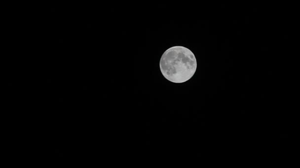 Volle maan met reliëf vlekken op de zwarte hemel. fotograferen met de toename van de blootstelling. — Stockvideo