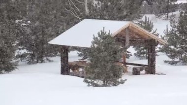 ahşap çardak ormanda arka plan üzerine kar yağışı.