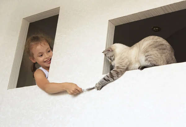 Little girl plays with a striped cat. — Stock Photo, Image