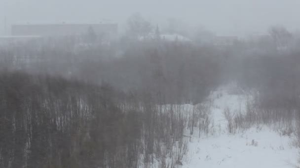 Tempestade de neve varre a cidade . — Vídeo de Stock