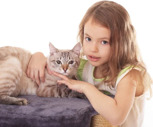 Schöne kleine Mädchen umarmt ihre Katze. — Stockfoto