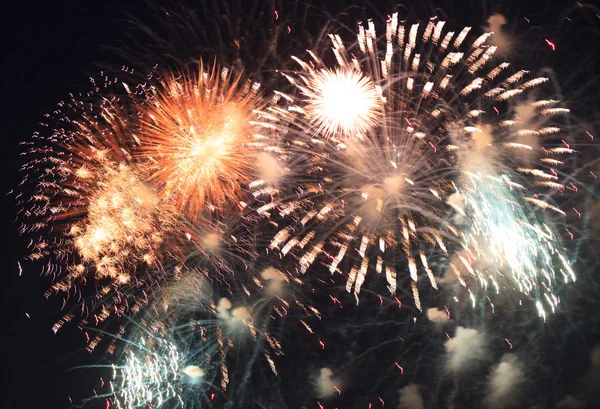 Beautiful fireworks in the night sky. — Stock Photo, Image