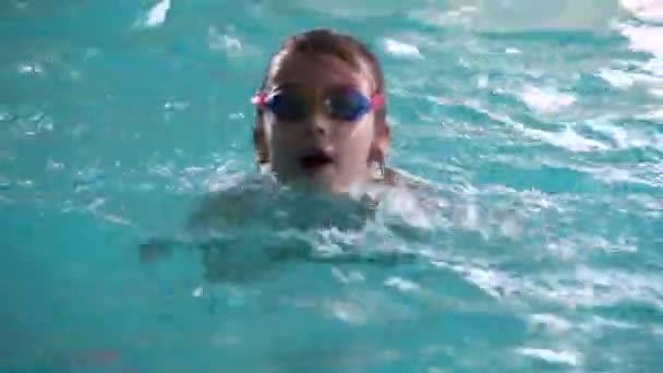 Kleines Mädchen schwimmt im Pool. — Stockvideo