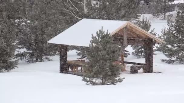 Schneefall auf dem Hintergrund eines hölzernen Pavillons im Wald. — Stockvideo