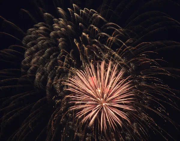 Beautiful fireworks in the night sky. — Stock Photo, Image