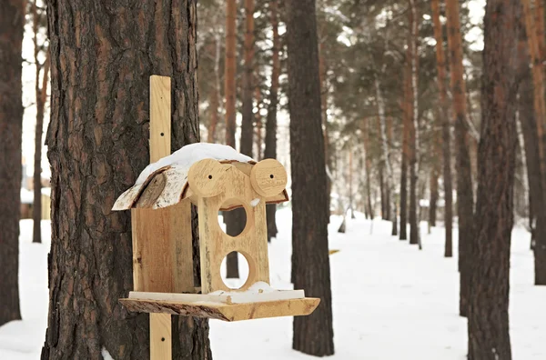 Feeder for squirrels and birds in the winter woods. — Stock Photo, Image