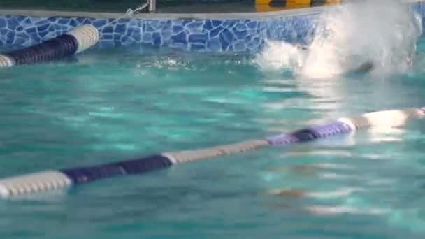 Hombre nadador entrenamiento en la piscina . — Vídeos de Stock