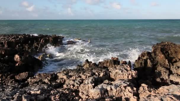 Surfen auf der Insel Cayo Guillermo. Atlantik. kuba — Stockvideo
