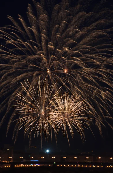 Prachtig vuurwerk aan de nachtelijke hemel. — Stockfoto