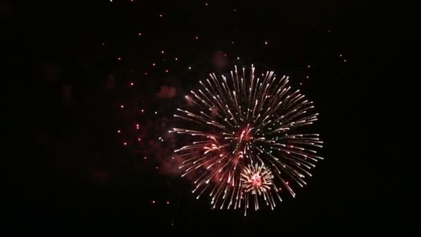 Beautiful fireworks in the night sky. — Stock Video