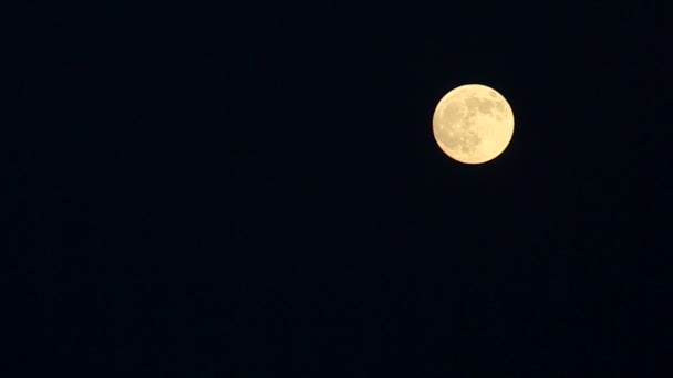 Luna llena con manchas de alivio en el cielo . — Vídeos de Stock