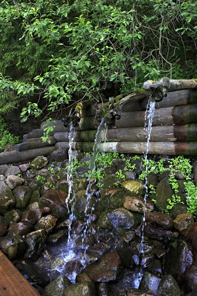 Holy Spring St. Sergius of Radonezh. Waterfall Gremyachiy key. — Stock Photo, Image