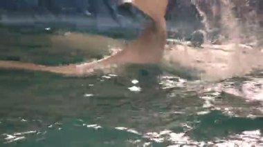 İki beyaz balina kuyrukları su tokat (alkışlıyorum)