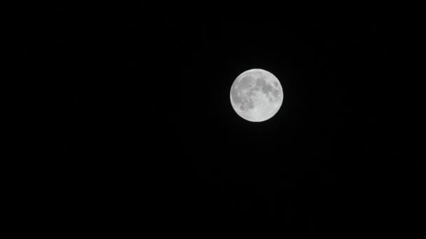 Luna llena con manchas en relieve en el cielo negro . — Vídeos de Stock