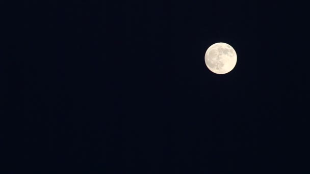 Luna llena con manchas de alivio en el cielo . — Vídeo de stock