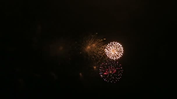 Hermosos fuegos artificiales en el cielo nocturno. — Vídeo de stock