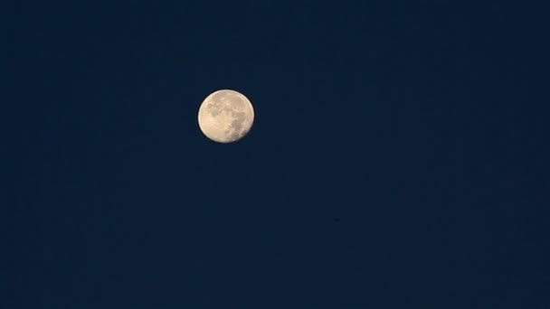 Moon Set por la mañana temprano. Vista del Timelapse — Vídeo de stock