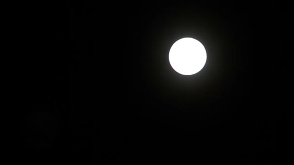 Vollmond am schwarzen Himmel. — Stockvideo