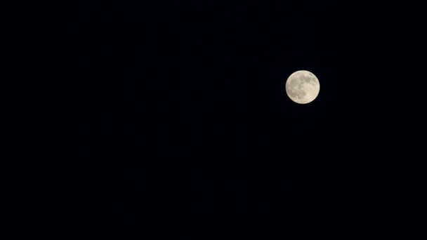 Luna llena con manchas de alivio en el cielo . — Vídeos de Stock