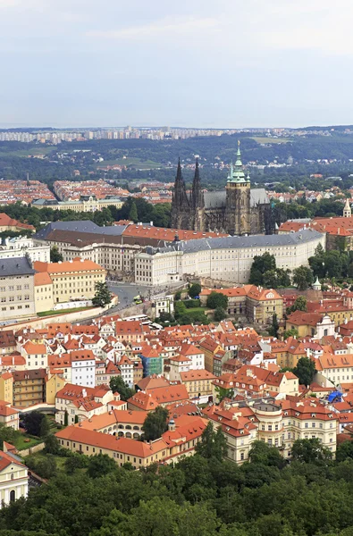 Saint vitus kathedraal en Praag kasteel. uitzicht vanaf petrin lookou — Stockfoto