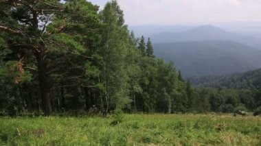 en yüksek dağı tserkovka belokurikha, Altay Dağları Panoraması. Rusya.