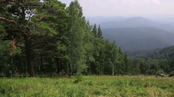 Panorama delle montagne Altai dalla cima del Monte Tserkovka a Belokurikha. Russia . — Video Stock