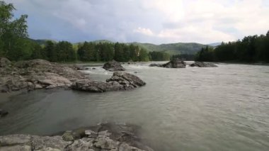 güzel yaz manzara dağ nehir katun. Timelapse görünümü.