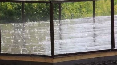 şiddetli yağmur verandada. Altay Kray. Rusya.