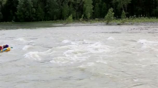 Rafting en un río de montaña Katun en Altai Krai. Rusia . — Vídeos de Stock