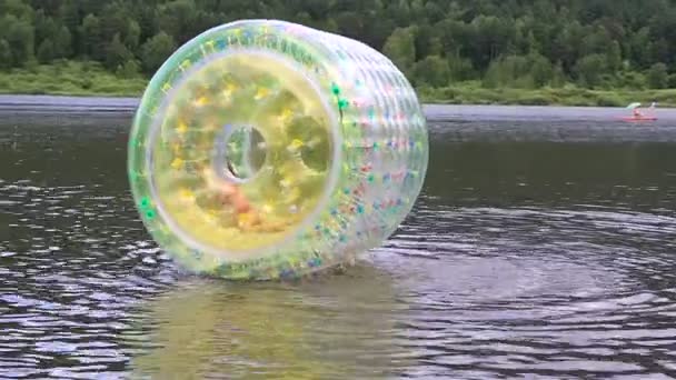 Ragazza nella palla gonfiabile del rullo dell'acqua sul lago . — Video Stock