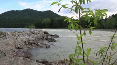 hızlı katun nehre. Altay Kray. Rusya.