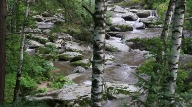 Altay Kray belokurikha dağ Nehri Panoraması. Rusya.