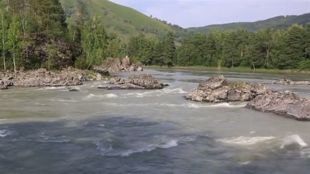 A hegyi folyó katun, Panorama. Altaji határterület. Oroszország. — Stock videók