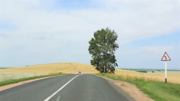 Färdas längs den natursköna Altaj kraj. Ryssland. — Stockvideo