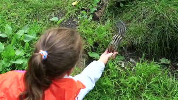 Bambina che si nutre dalle mani di uno scoiattolo . — Video Stock