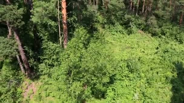 Ski chairlift on Mount Tserkovka in Belokurikha. Altai Krai. Russia. — Stock Video