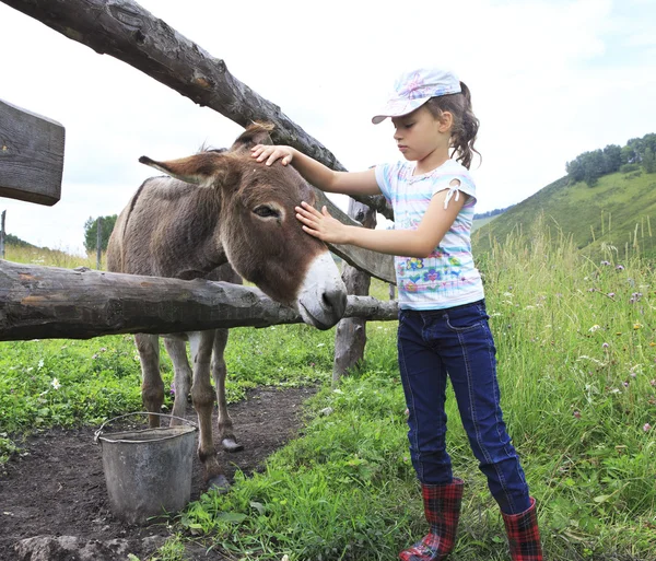 Küçük kız bir eşek şefkatle okşayarak. — Stok fotoğraf