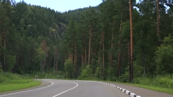 Neue Straßen in der Region Altai. Russland. — Stockvideo