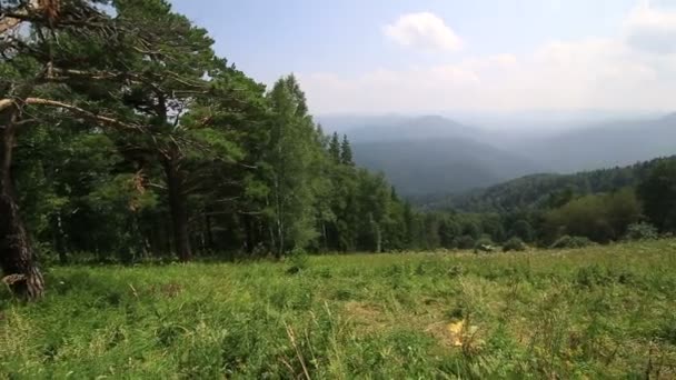Панорама гір Алтай з вершини гори tserkovka у belokurikha. Росія. — стокове відео
