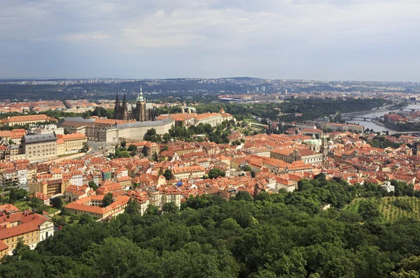 Saint vitus Katedrali ve Prag Kalesi. Petrin lookou görüntülemek — Stok fotoğraf