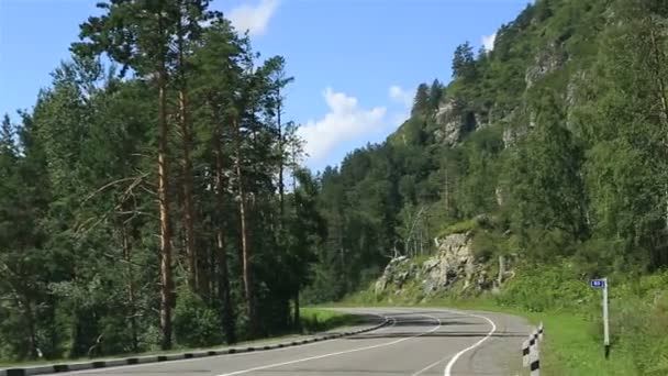 Travel along the roads of the Altai Krai. Russia. — Stock Video