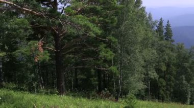en yüksek dağı tserkovka belokurikha, Altay Dağları Panoraması. Rusya.
