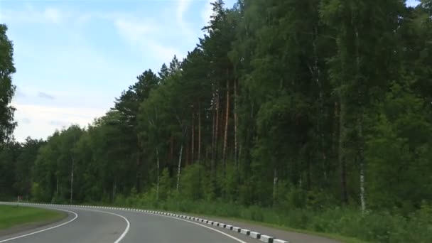 新しい道路アルタイ地方。ロシア. — ストック動画