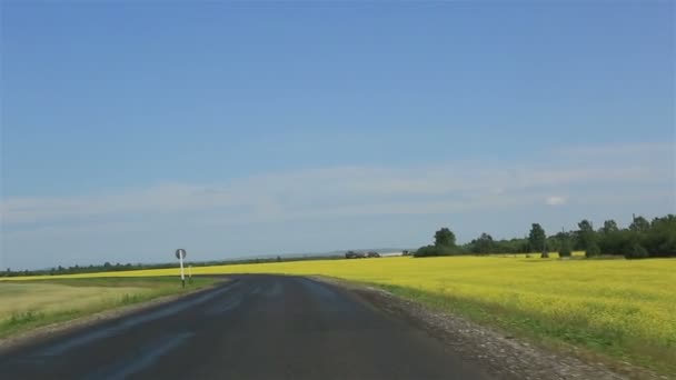 Reisen entlang der malerischen Altai-Region. Russland. — Stockvideo